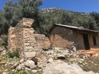 Fethiye Karadere ünlü Patara pilajına yakın 78 dönüm Zeytilik 7