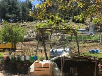 Antalya kaş yayla aklarda müstakil ev 15