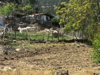 Antalya kaş yayla aklarda müstakil ev 25