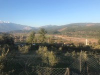 Seydikemer Seydilerde 6423 metre zeytinlik