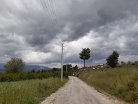 Saklıkette 27250 metre zeytinlik 14