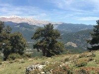 Antalya kaş yayla aklarda müstakil ev 6