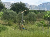 Fethiye saklıkentte organik  bahçe 74000 metre 32