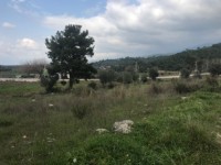 Saklıkette anayola sıfır 3206 metre arsa 7