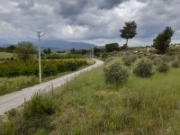 Saklıkette 27250 metre zeytinlik 3