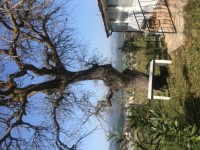 Antalya kaş Saklıkent bölgesinde müstakil sıfır ev 33