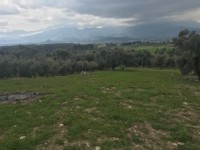 Saklıkette anayola sıfır 3206 metre arsa 2