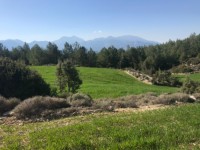 Fethiye saklıkette 3400 metre arazi 8