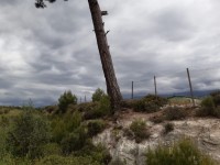 Saklıkette 27250 metre zeytinlik 5