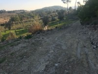 Fethiye saklkentte 3400 metre içinde zeytinlik 8