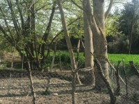 Fethiye eşen bölgesinde 12 dönüm arazi 15