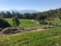 Fethiye saklıkette 3400 metre arazi 2