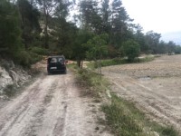 Fethiye saklıkentte organik  bahçe 74000 metre 33