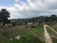 Saklıkette anayola sıfır 3206 metre arsa 6