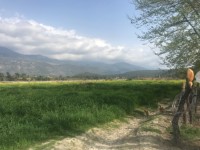 Fethiye eşen bölgesinde 12 dönüm arazi 6