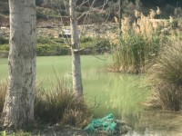 Fethiye eşen bölgesinde 12 dönüm arazi 12