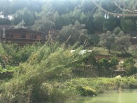 Fethiye eşen bölgesinde 12 dönüm arazi 11