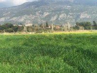 Fethiye eşen bölgesinde 12 dönüm arazi 8