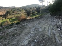 Fethiye saklkentte 3400 metre içinde zeytinlik 10