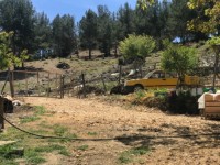 Antalya kaş yayla aklarda müstakil ev 20