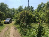 Köyceğizde çiflik ve bahçe 13