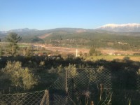 Seydikemer Seydilerde 6423 metre zeytinlik 4