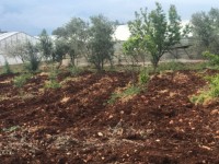 Saklıkentte müstakil iki katlı ev 13