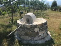 Fethiye saklıkentte organik  bahçe 74000 metre 2