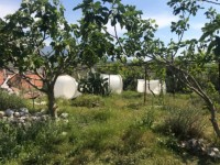 Fethiye saklıkentte organik  bahçe 74000 metre 13