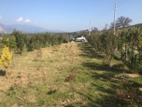 Antalya kaş Saklıkent bölgesinde müstakil sıfır ev 28