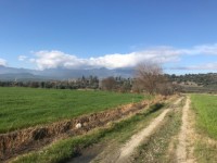 Saklıkent güneşlide 16 dönüm  arazi 5