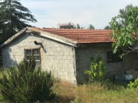 Fethiye saklıkentte organik  bahçe 74000 metre 6