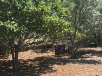 Fethiye Karaçulha ful Deniz manzaralı 541 metre arsa 21