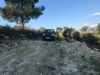 Saklıkette zeytinlik 12