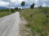 Saklıkette 27250 metre zeytinlik 10