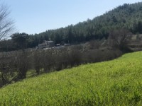 Fethiye saklıkette 3400 metre arazi 3