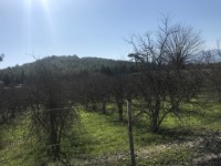 Fethiye saklıkette 3340 metre nar bahçesi 5