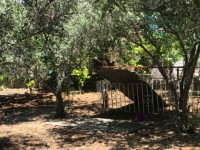 Fethiye Karaçulha ful Deniz manzaralı 541 metre arsa 24