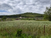 Saklıkette 27250 metre zeytinlik 8