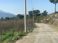 Fethiye saklıkette 3340 metre nar bahçesi 4