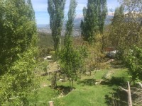 Antalya kaş yayla aklarda müstakil ev 24