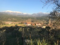 Seydikemer Seydilerde 6423 metre zeytinlik 3