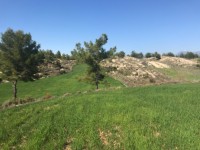 Fethiye saklıkette 3400 metre arazi