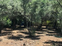 Fethiye Karaçulha ful Deniz manzaralı 541 metre arsa 29