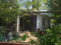 Köyceğizde çiflik ve bahçe 3