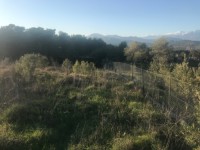 Seydikemer Seydilerde 6423 metre zeytinlik 2