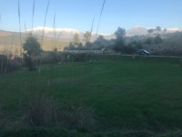 Seydikemer Seydilerde 6423 metre zeytinlik 16