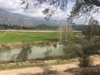 Fethiye eşen bölgesinde 12 dönüm arazi 3