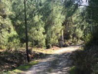 Fethiye saklıkette 3400 metre arazi 13