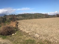 Saklıkent güneşlide 16 dönüm  arazi 4